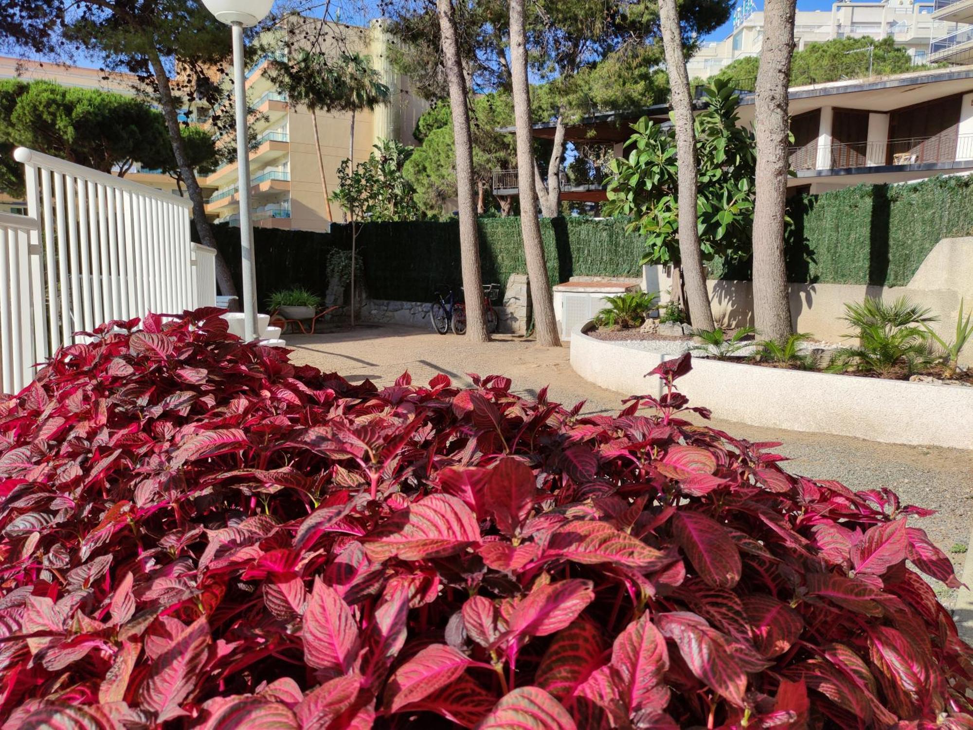 Paradis Salou, Centro Turistico, Wifi, Piscina, Vistas Al Mar Exterior foto